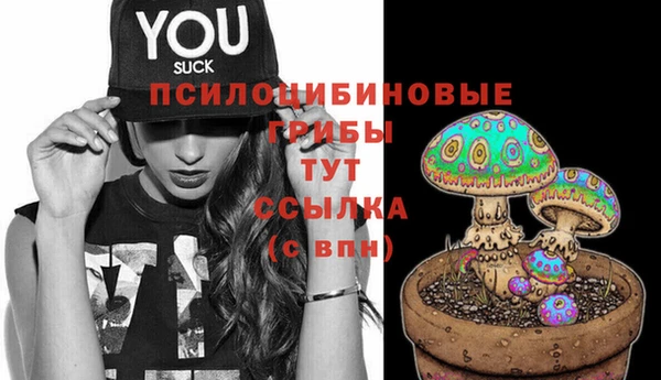 каннабис Богородицк