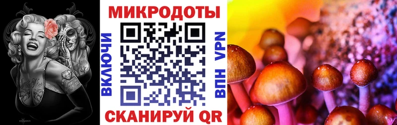 Купить  Малгобек  Галлюциногенные грибы Psilocybe 